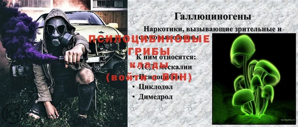 а пвп мука Абаза
