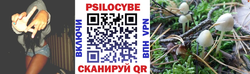 купить наркотики сайты  Питкяранта  Псилоцибиновые грибы Magic Shrooms 